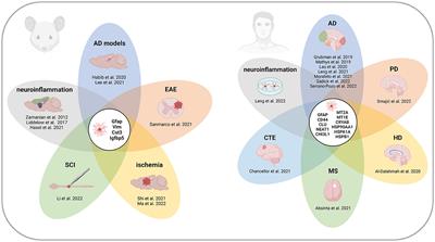Reactive astrogliosis in the era of single-cell transcriptomics